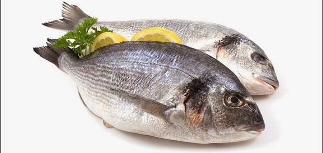 أسعار السمك اليوم الأربعاء 17 نوفمبر 2021.. تراجع البربون واستقرار البلطي