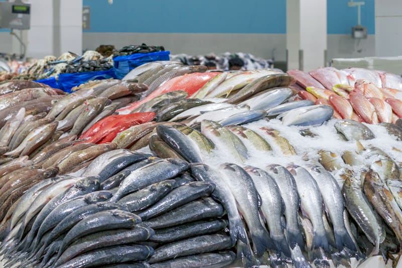 أسعار السمك الأربعاء 22 ديسمبر بسوق العبور