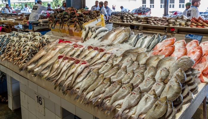 أسعار السمك اليوم الثلاثاء 11 يناير بسوق العبور