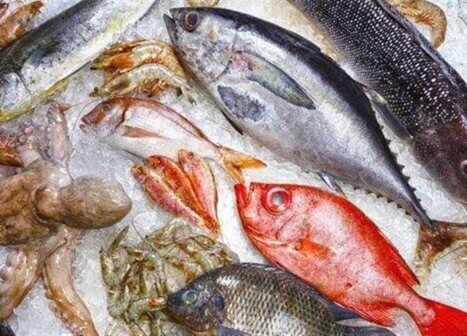 أسعار السمك اليوم الأربعاء 2 فبراير ...«البلطي» بـ25 جنيها