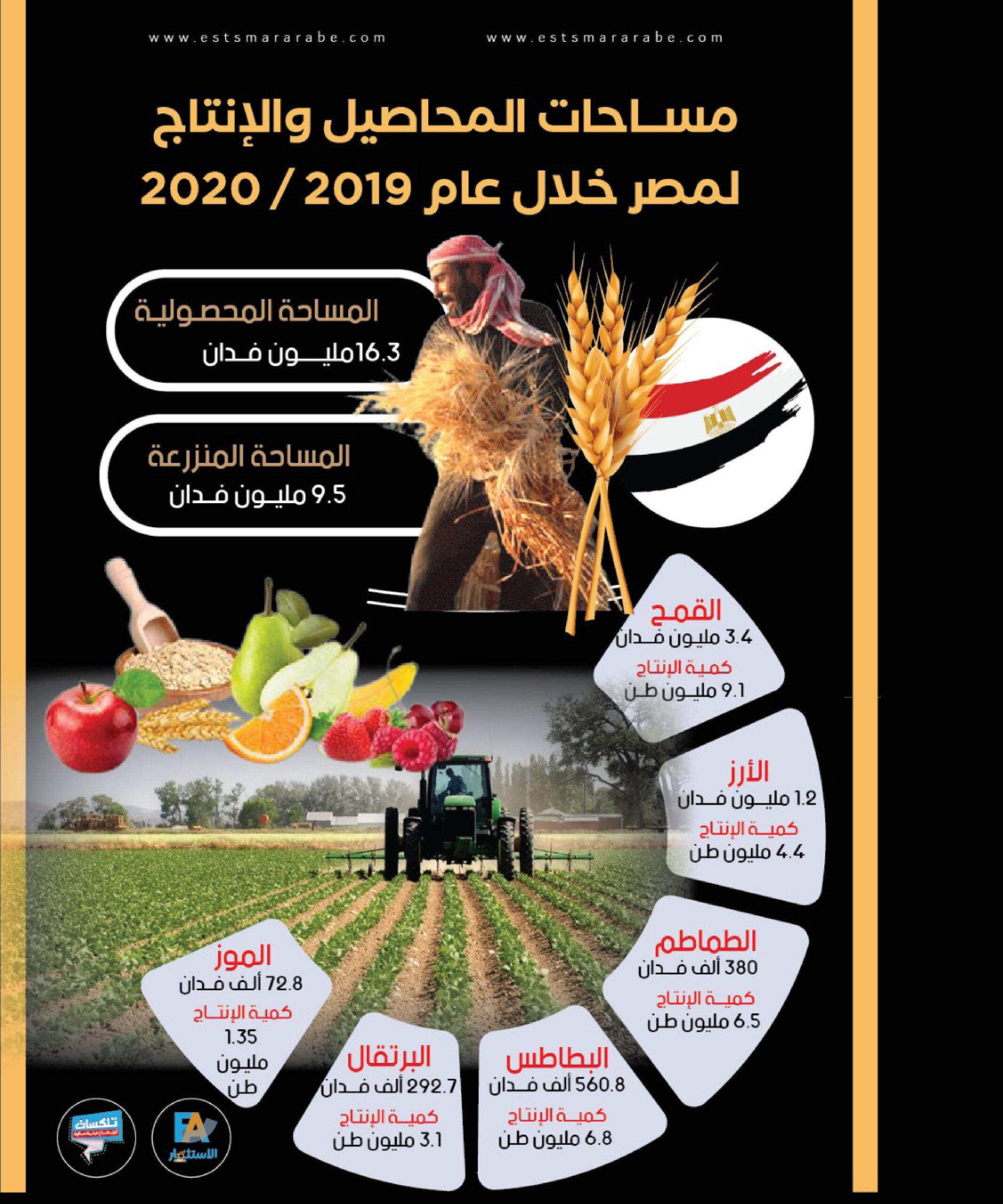 إنفوجرافيك || مساحات المحاصيل والإنتاج لمصر خلال 2020/2019