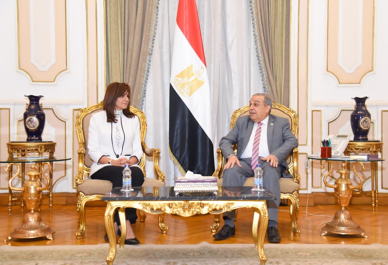 مصر واليابان تعلنان البدء في إنشاء «المركز المشترك للتدريب والتأهيل»