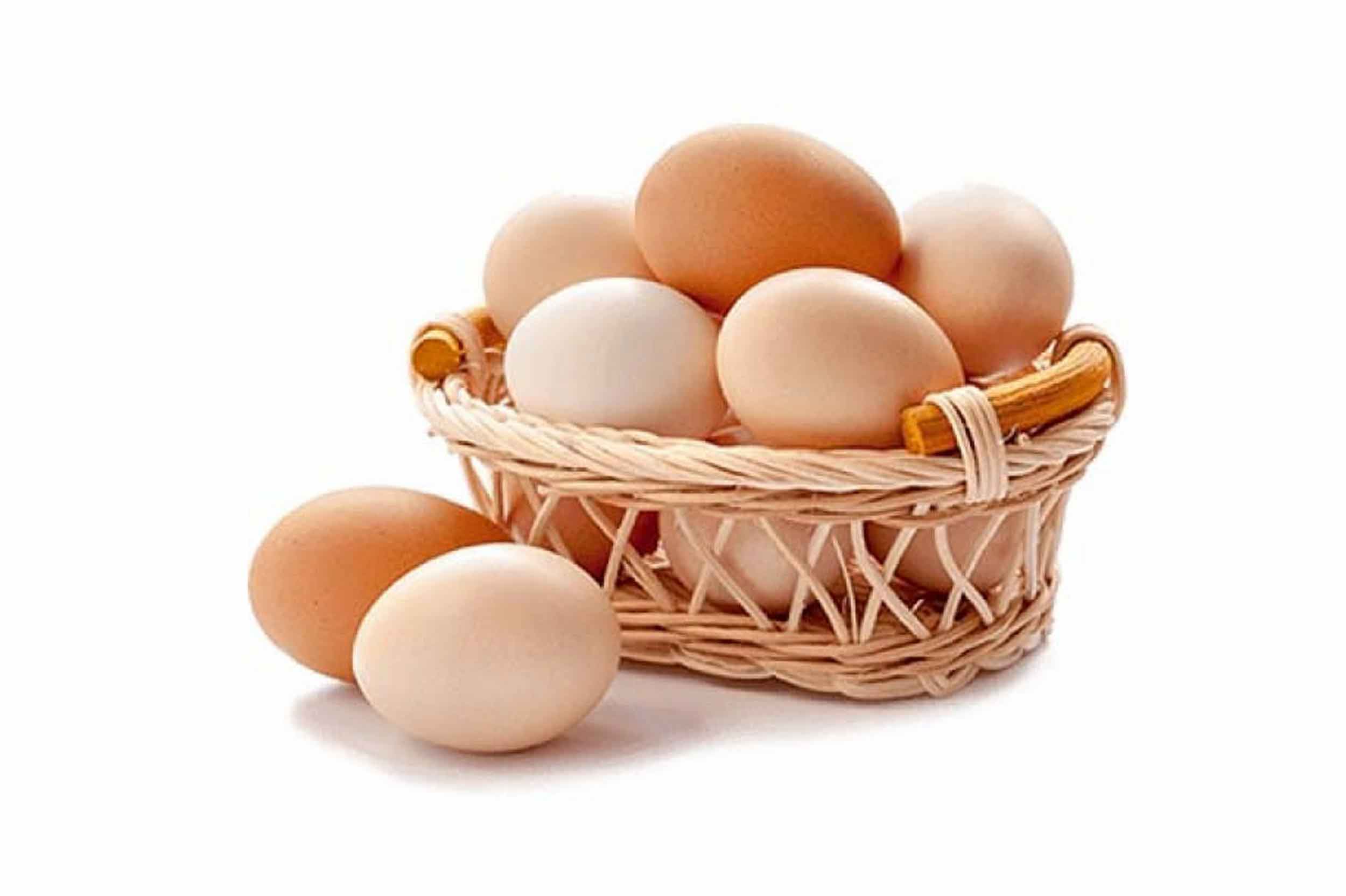 أسعار البيض الأحمر ترتفع بالسوق المحلية اليوم