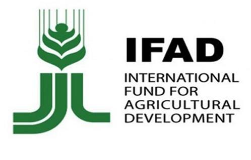 «الدولي للتنمية الزراعية» يقدم مليارَي دولار لمصر لدعم الأمن الغذائي بقروض حتى 2030
