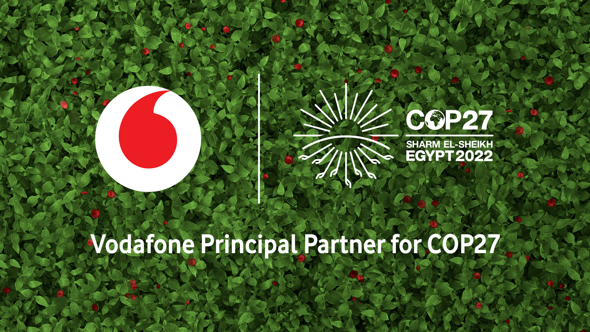 «فودافون مصر» شريكًا استراتيجيًا للمبادرة الوطنية للمشروعات الخضراء الذكية