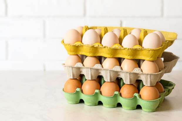 أسعار البيض تستقر على ارتفاع بالسوق المحلية اليوم