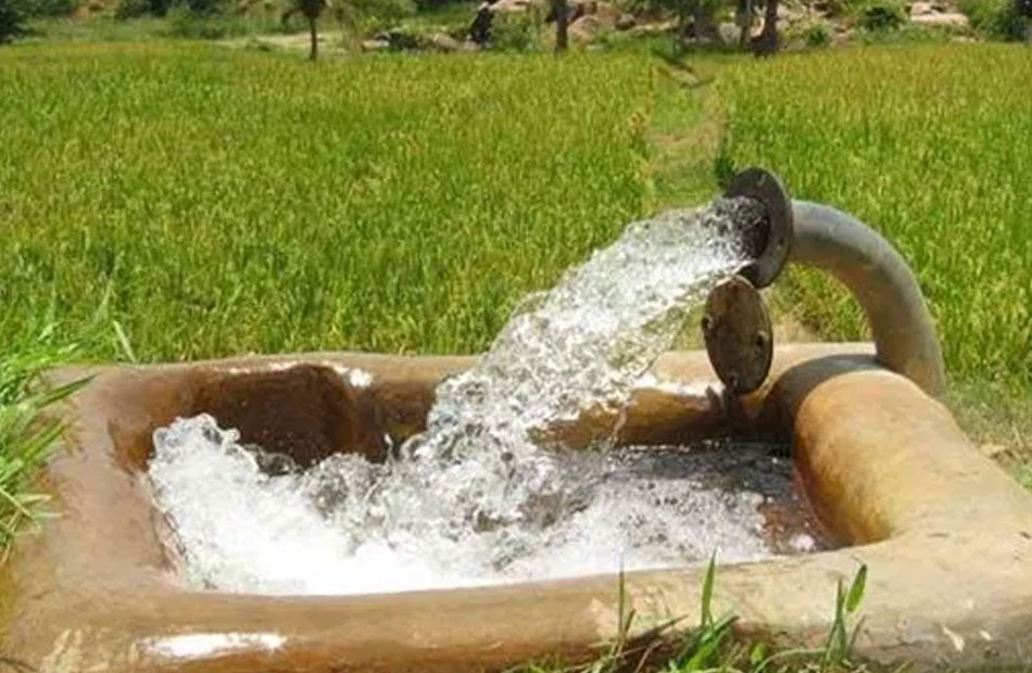 38.2 مليار متر مكعب كمية المياه المستخدمة فى رى المحاصيل الزراعية خلال 2021