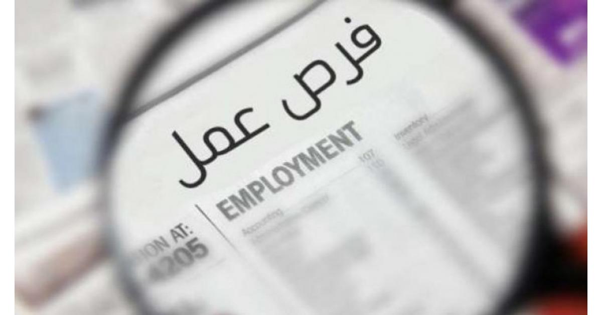وظائف «القوى العاملة» بمحافظات مصر.. «رواتب تبدأ من 2700 جنيه»