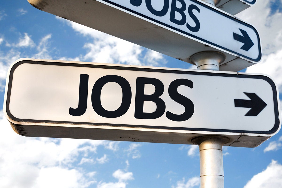 «وظائف».. «القوى العاملة» تعلن عن فرص عمل في 13 محافظة برواتب تبدأ من 2700 جنيهًا