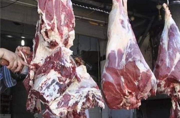 وزارة التموين: زيادة معدل ضخ اللحوم السودانية إلى 80 طن يوميًا خلال شهر رمضان