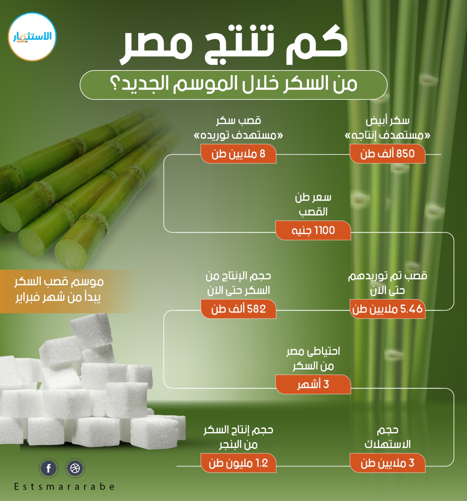 إنفوجرافيك|| إنتاجية مصر من «السكر» خلال الموسم الجديد