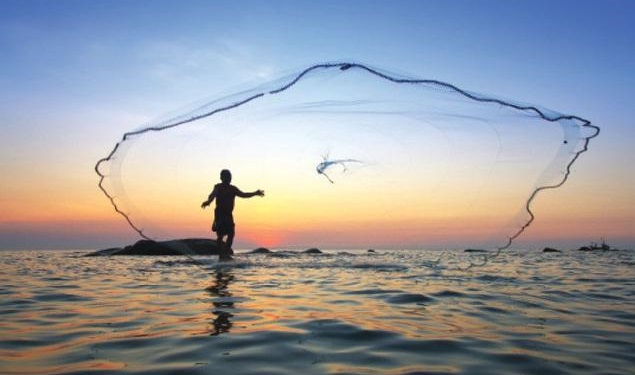 «الزراعة وصيد الأسماك» يستحوذان على أكبر نسبة مشاركة لمشتغلي الأنشطة الاقتصادية خلال 2023