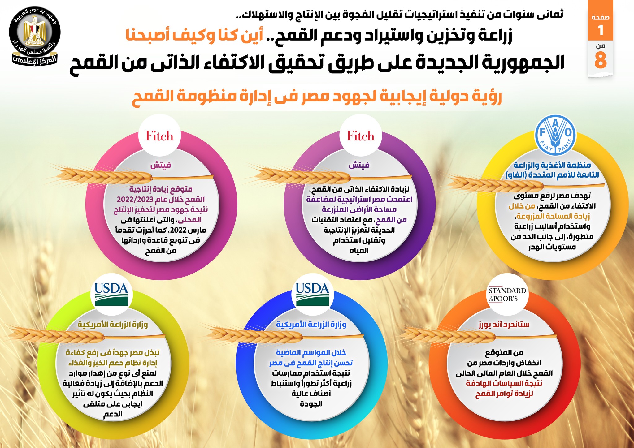 ستاندرد آند بورز تتوقع انخفاض واردات مصر من القمح خلال العام المالي الحالي