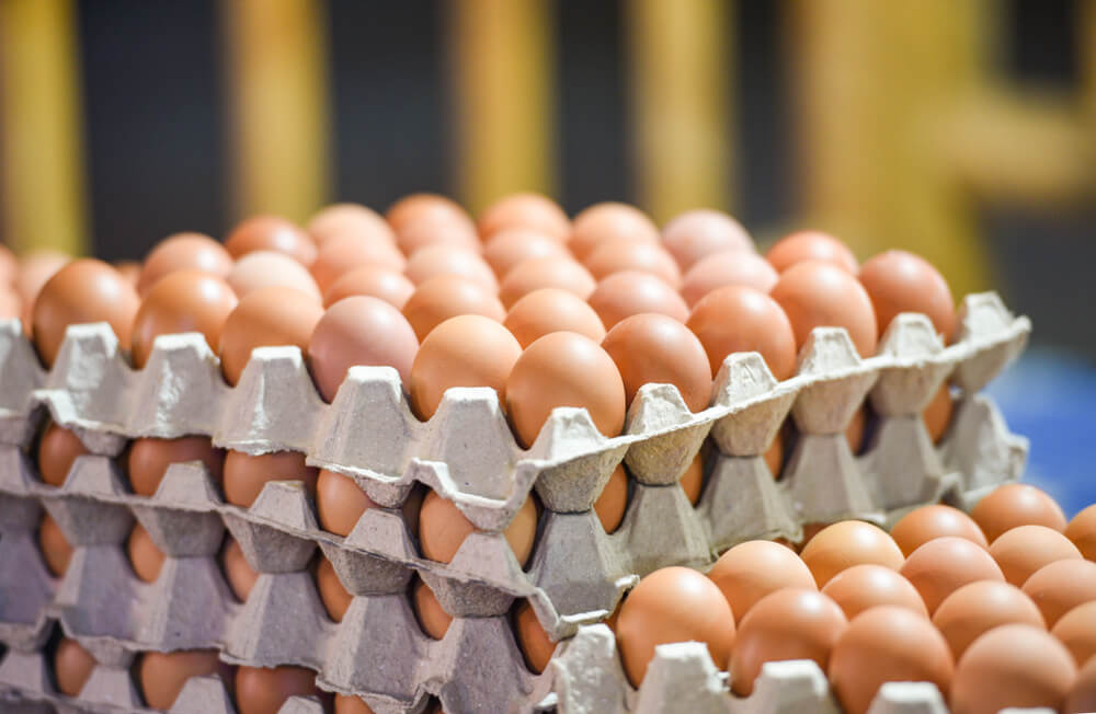 وزارة الزراعة: طرحنا كميات كبيرة من «البيض» بأسعار أقل 30% عن مثيلاتها بالأسواق