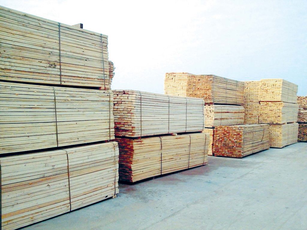 «شعبة المستوردين»: 3 آلاف جنيه ارتفاعًا في أسعار الأخشاب خلال شهرين