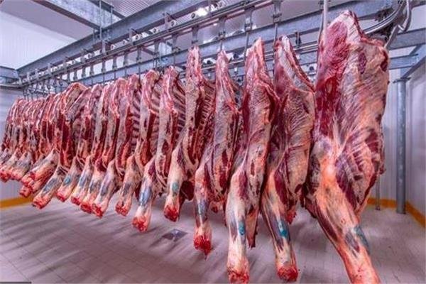 «التموين»: أسعار اللحوم تراجعت في السوق ووصلت إلى 250 بدلا من 350 جنيهًا