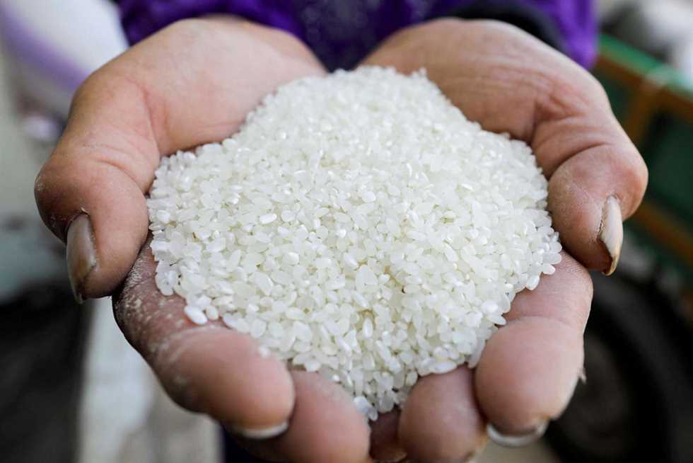 شعبة الأرز: لن نتأثر بقرار حظر تصدير الهند للأرز.. ولدينا نحو مليون طن فائض من الشعير