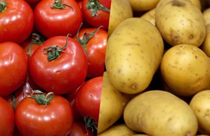 نقيب الفلاحين: الحر الشديد سيرفع أسعار الطماطم والبطاطس خلال الفترة المقبلة