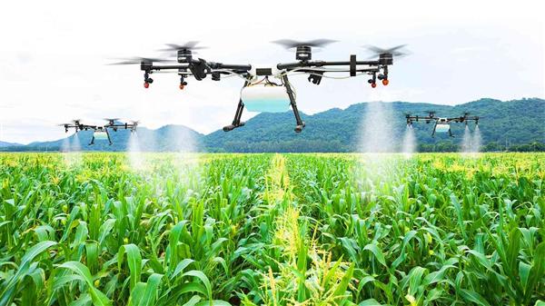 مجلس الوزراء على يوافق على مشروع قرار بين مصر وكندا حول تنفيذ تعزيز الزراعة الذكية