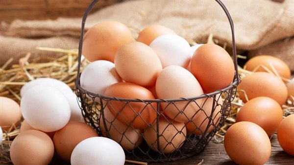 20% زيادة في أسعار البيض رغم تراجع الأعلاف.. والشعبة توضح الأسباب
