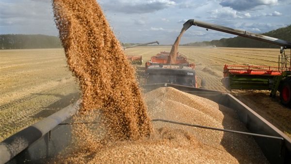 مصر تجري محادثات للحصول على تمويل إماراتي لشراء القمح الكازاخستاني