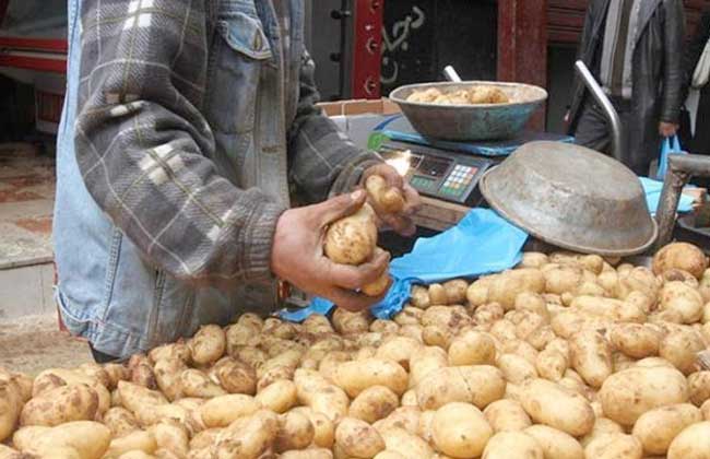نقيب الفلاحين يكشف موعد انخفاض أسعار البطاطس