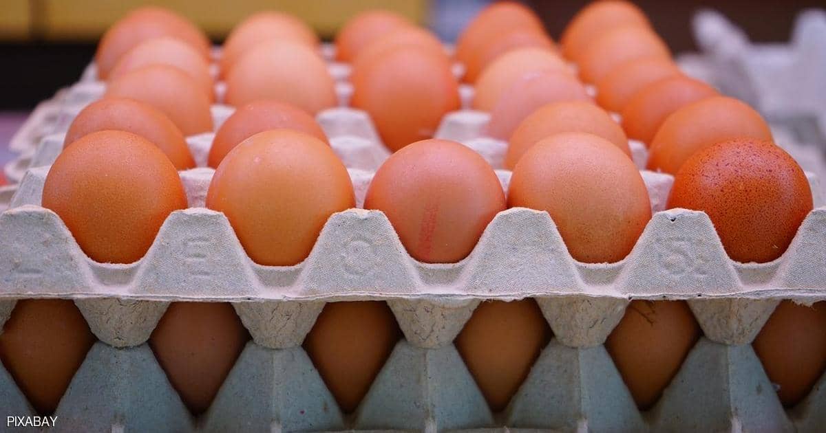 الحكومة: ضبط 11160 بيض مائدة تم بيعهم بأزيد من السعر الوارد