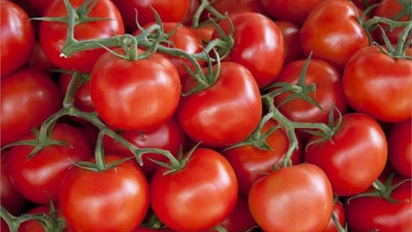 الطماطم تتراجع والجزر يقفز لمستويات قياسية.. أسعار الخضروات في السوق المحلية 