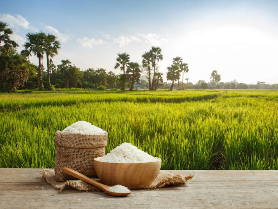 أسعار الأرز ترتفع 300 جنيهًا للطن في السوق المحلية خلال تعاملات اليوم