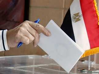 الجريدة الرسمية تنشر قرار تشكيل اللجان المشرفة على انتخابات الرئاسة بالخارج