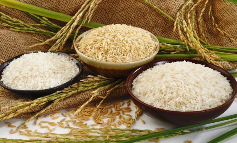 أسعار الأرز ترتفع 500 جنيهًا في السوق المحلية خلال تعاملات اليوم