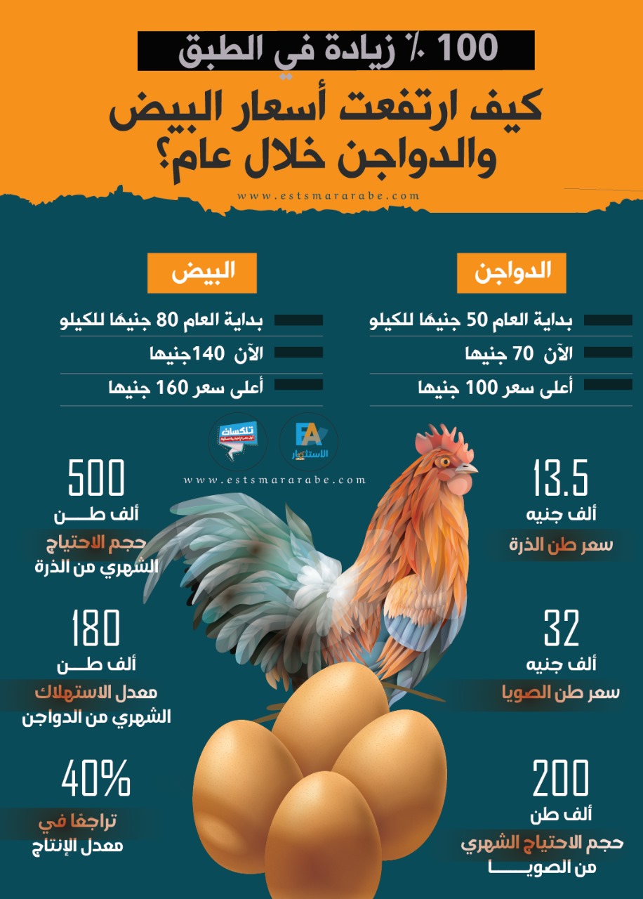 إنفوجرافيك|| رصد لزيادة وتطور أسعار البيض فى السوق خلال عام