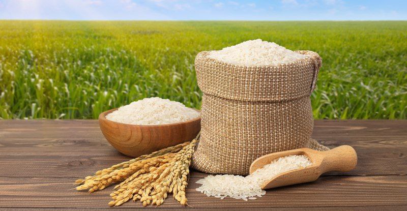 بعد ارتفاعات قياسية.. أسعار الأرز تعاود التراجع خلال تعاملات اليوم