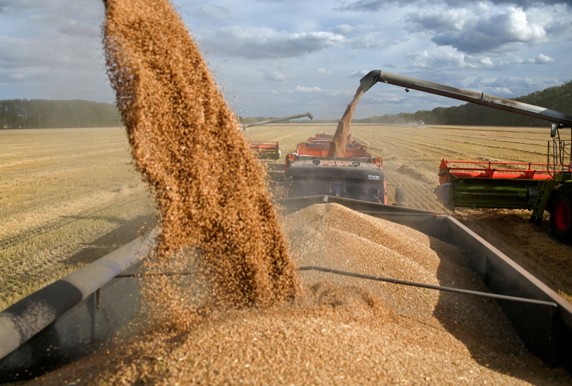 تراجع واردات مصر من القمح الروسي 24.7% خلال 6 أشهر