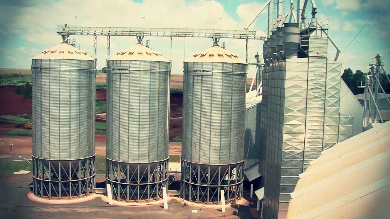 مصر تعتزم إنشاء 6 صوامع لتخزين القمح بتكلفة 145.6 مليون دولار
