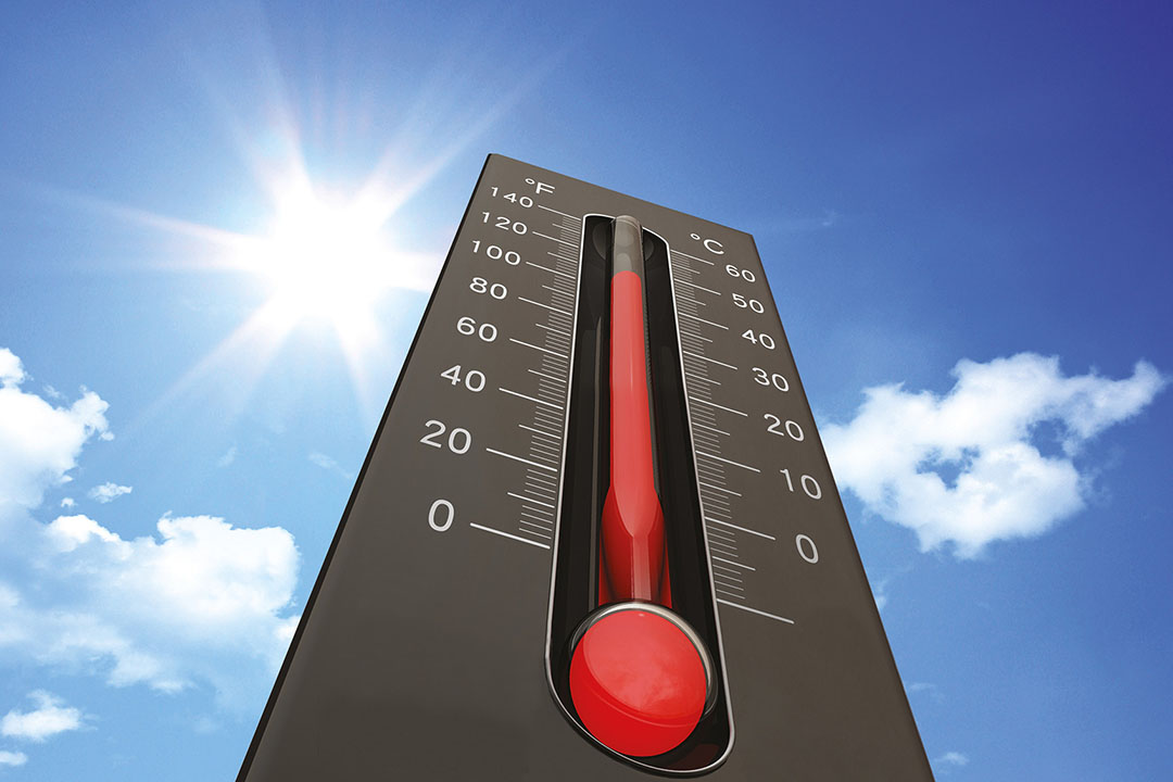 الأرصاد: انخفاض تدريجي في درجات الحرارة على شمال البلاد وحتى القاهرة الكبرى