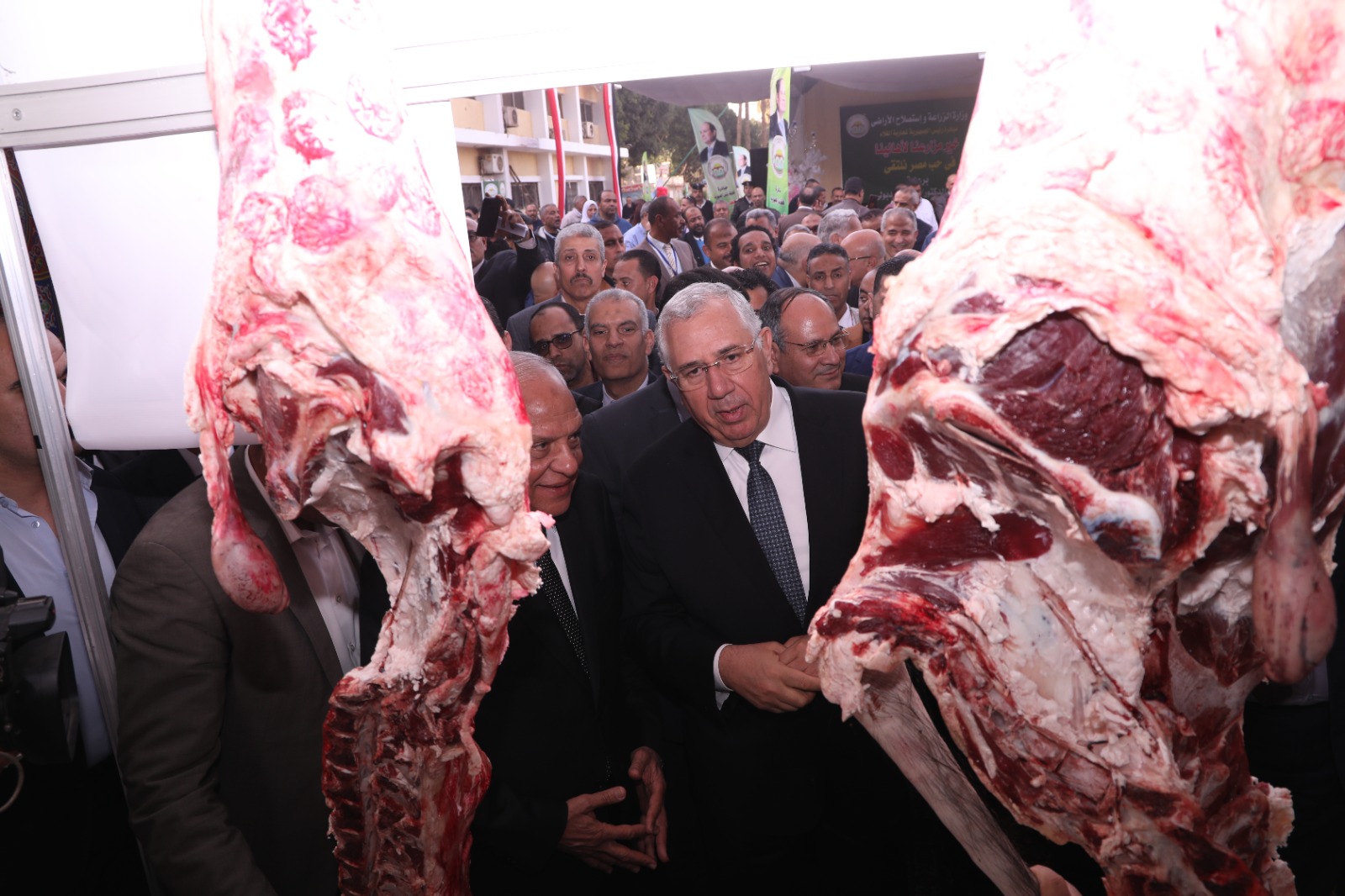 «الزراعة» تعلن طرح اللحوم في منافذها بـ270 جنيهًا.. وتواصل ضخ السلع بأسعار مخفضة