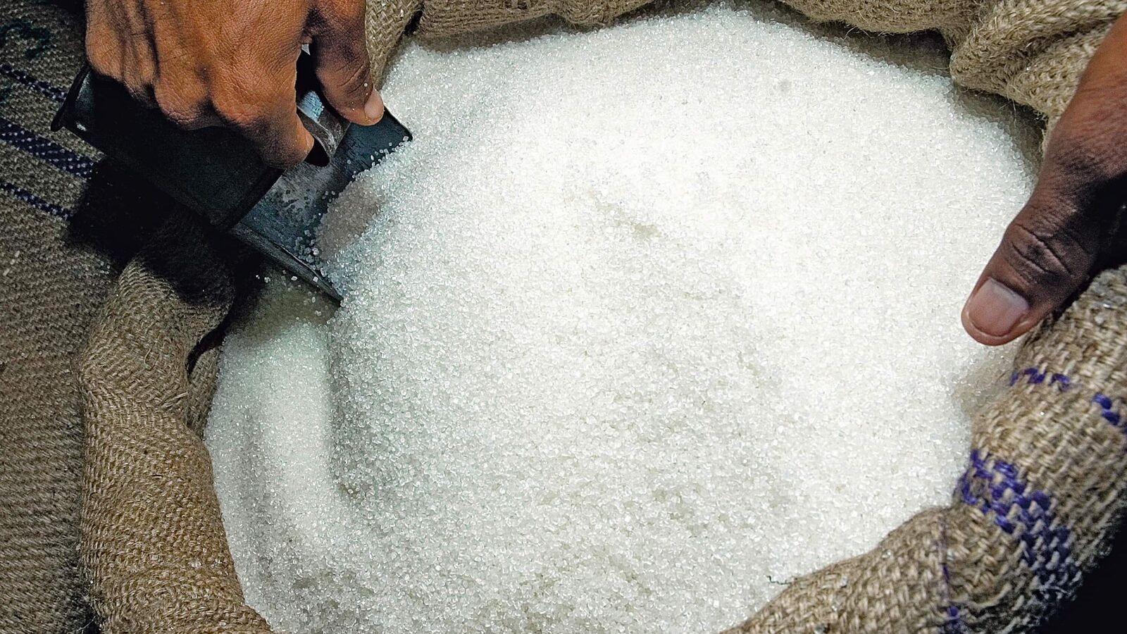 الحكومة: تدبير موارد النقد الأجنبي لاستيراد مليون طن من السكر