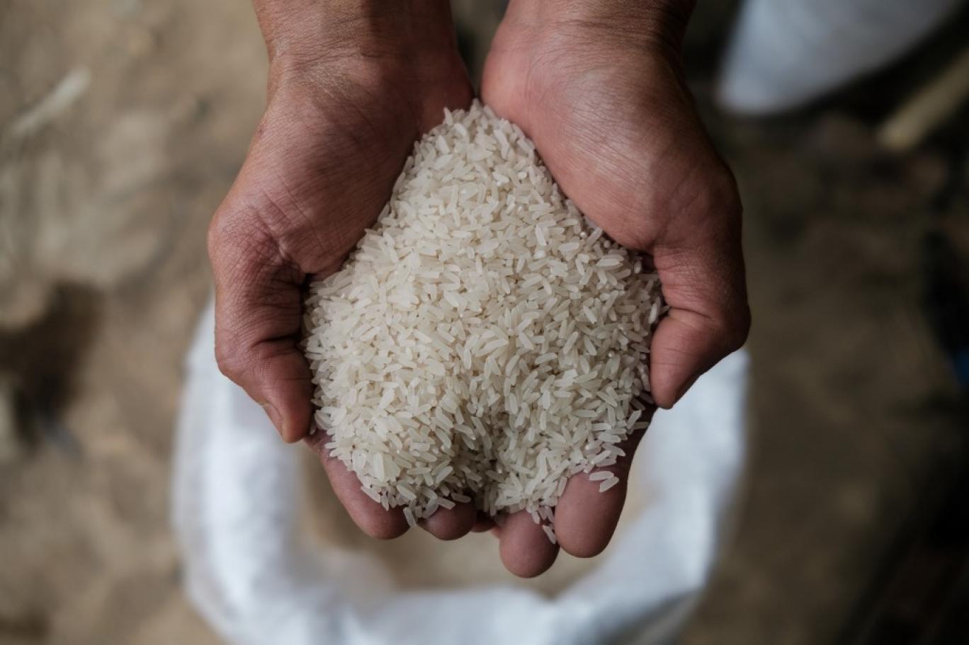 مع هدوء الطلب.. أسعار الأرز تتراجع أكثر من 3000 جنيهًا في السوق المحلية