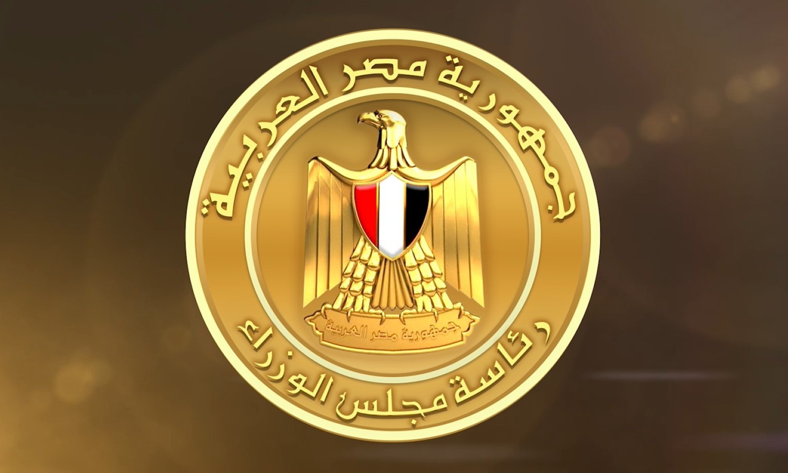 «الوزراء»: اكتتاب مصر في زيادة رأس المال بمؤسسة التمويل الدولية «IFC»