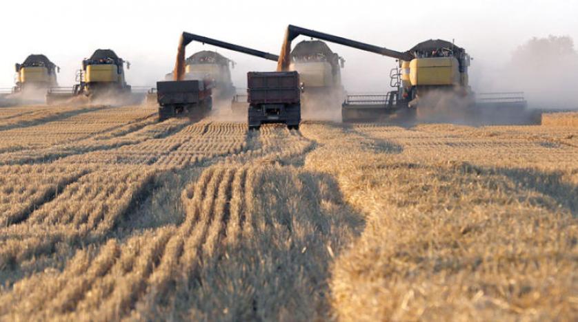 واردات مصر من القمح تقفز إلى 3.3 ملايين طن خلال الربع الأول من 2024