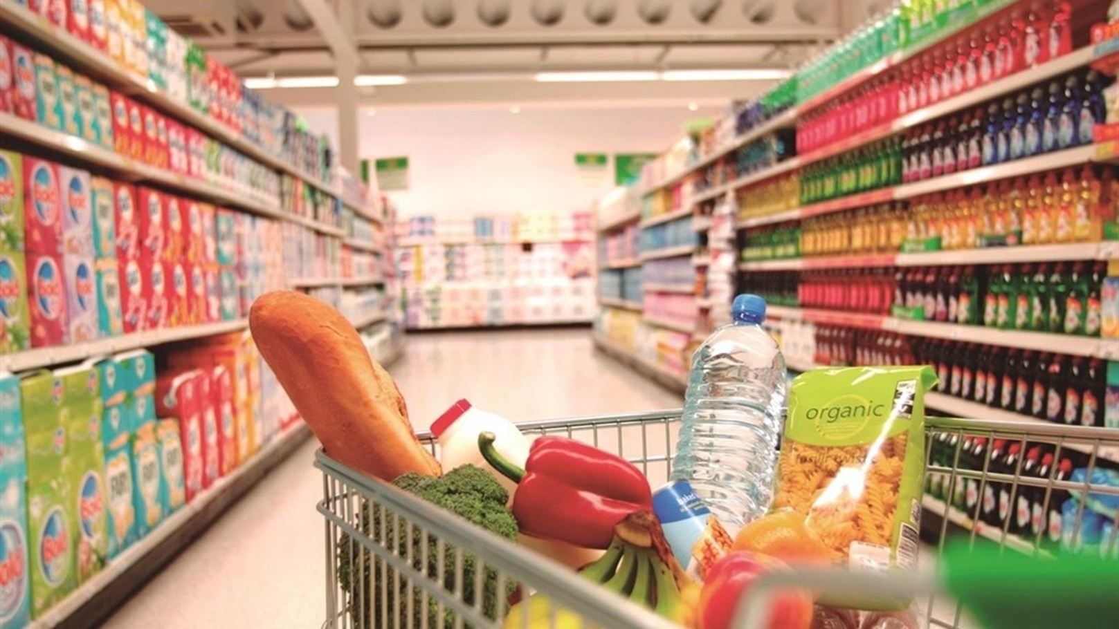 المواد الغذائية: 40% تراجعًا بأسعار السلع الاستراتيجية والفترة المقبلة ستشهد انخفاضات جديدة